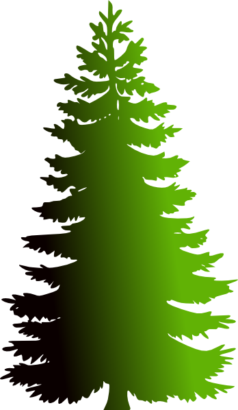 Evergreen Tree Clip Art Black And White (348x598)