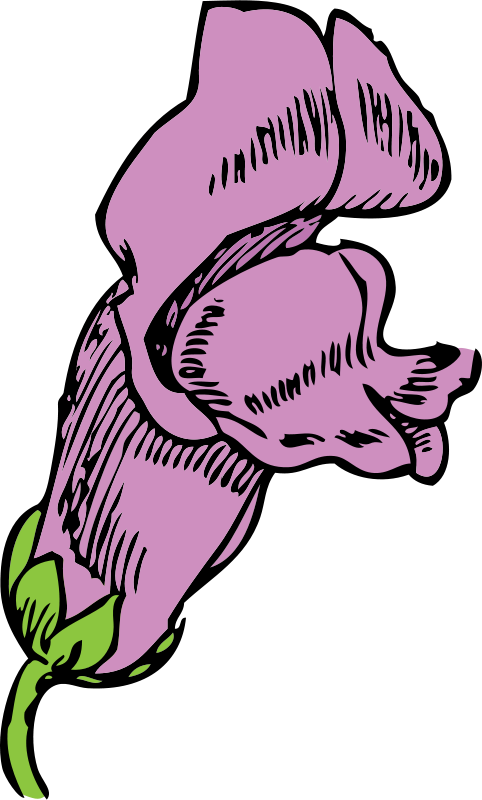 Get Notified Of Exclusive Freebies - Drawing Of A Snapdragon (482x800)