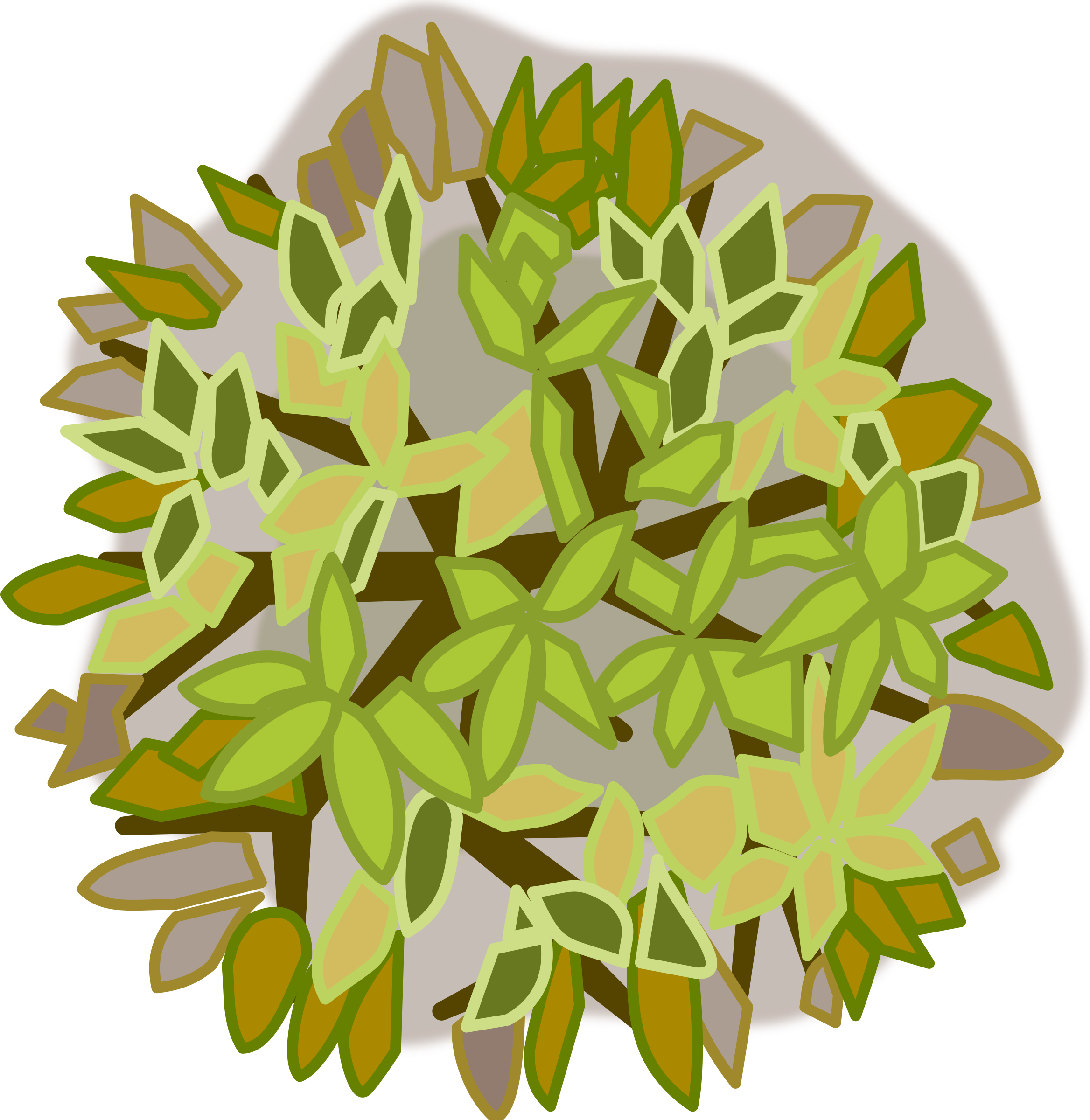 This Free Icons Png Design Of Tree Top View - Tree Top View Png (2400x2400)