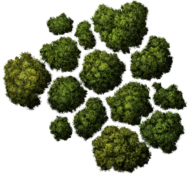 Tree Top Png - Trees Png Top View (623x573)