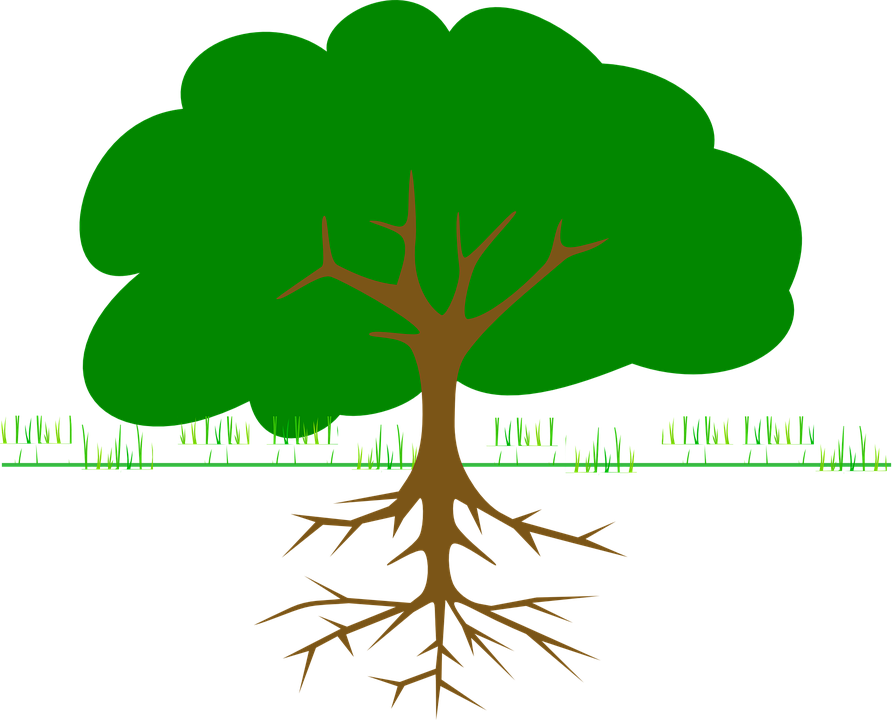 Clip Art Of Collections Od Landscape Plan With Treetop - Tree Clip Art (893x720)