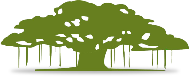 The Banyan Tree Philosophy The Banyan Tree Was Chosen - Equirus Capital Pvt Ltd (688x284)