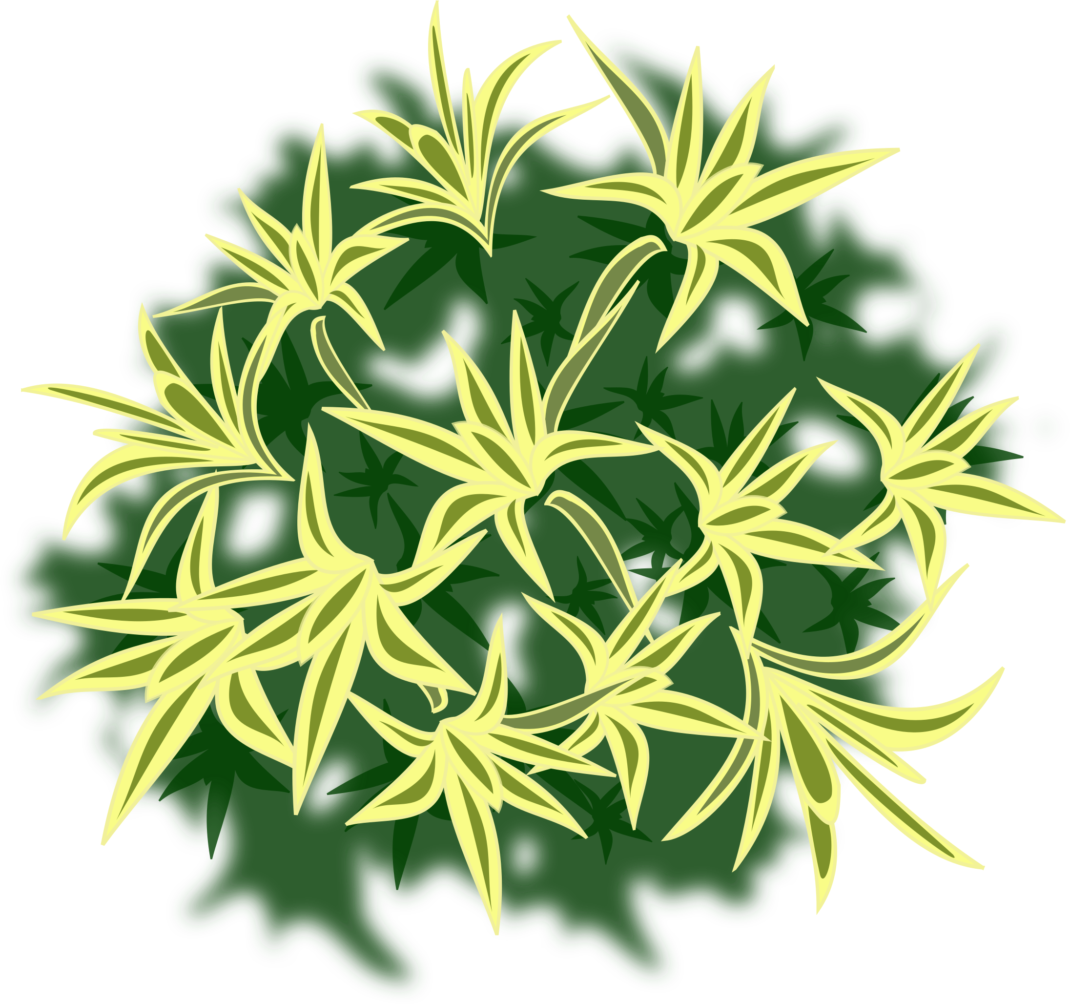 This Free Icons Png Design Of Plant-01a - American Witch Hazel (2400x2400)