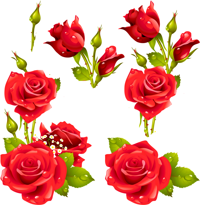 Como La Miel De Abejasmil Flores - Frame With Flowers Png (872x872)
