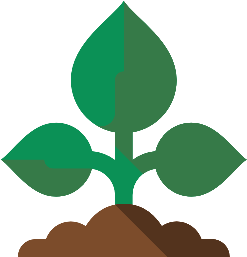 Sprout Free Icon - Sprouting (512x512)