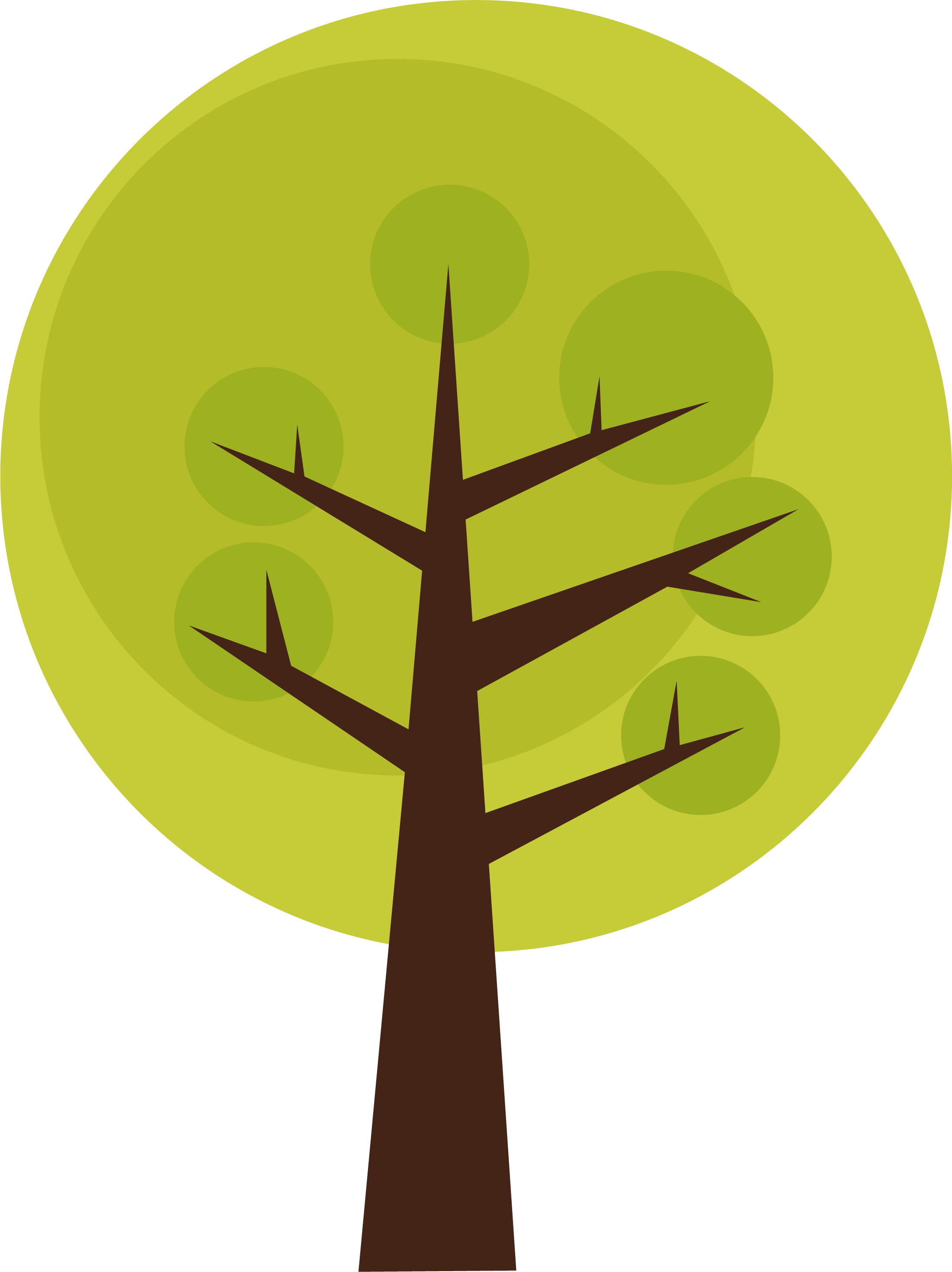 Tree Png Images Quality Transparent Pictures - Drawn Tree (2199x2937)
