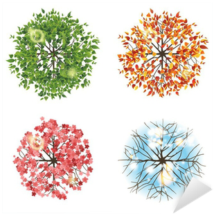 Tree Icon In 4 Different Seasons - Icono De Arbol En Planta (400x400)