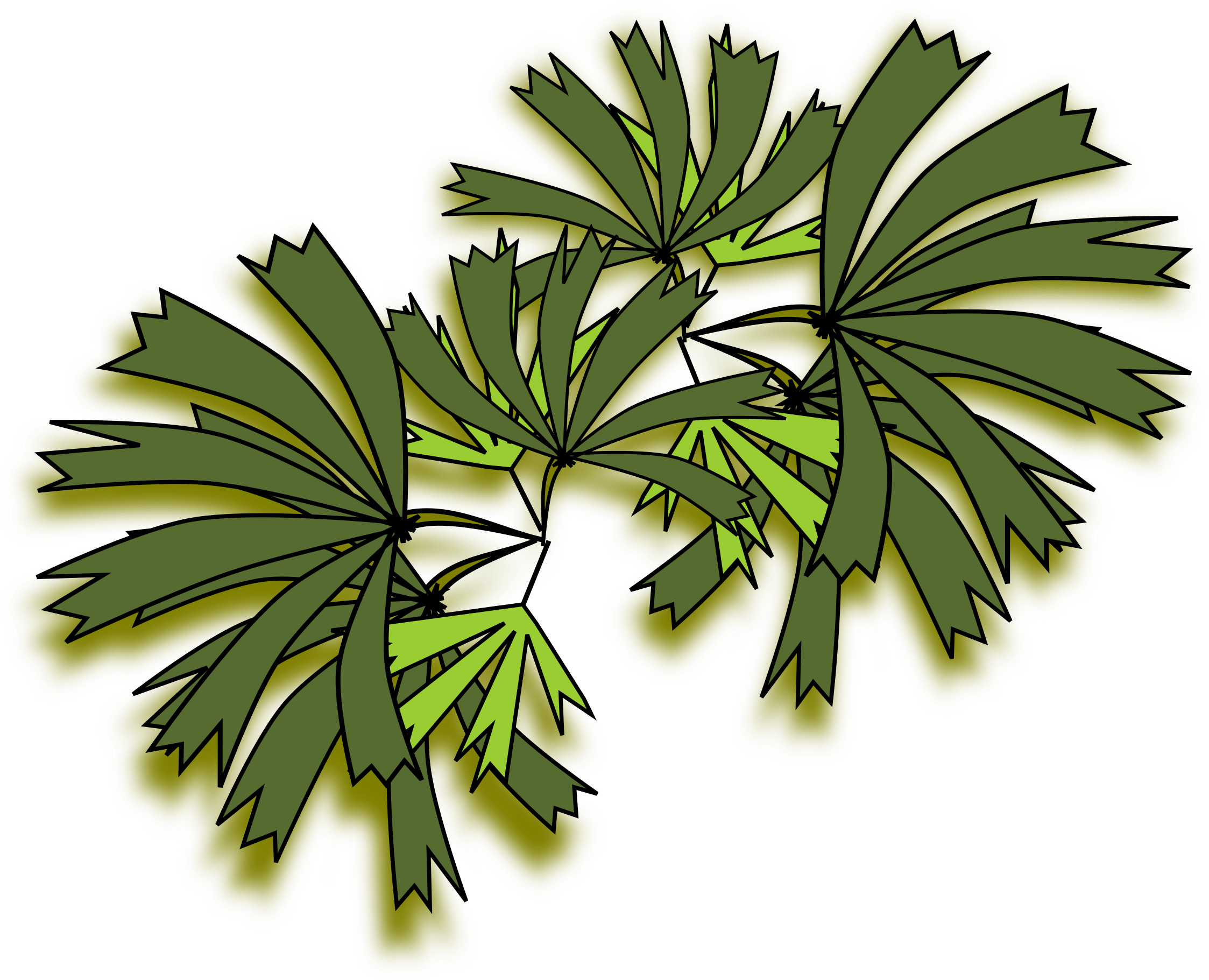 Palmeira Raphis For Palm Tree Top View Png 131fsj - Palm Trees (2400x2239)