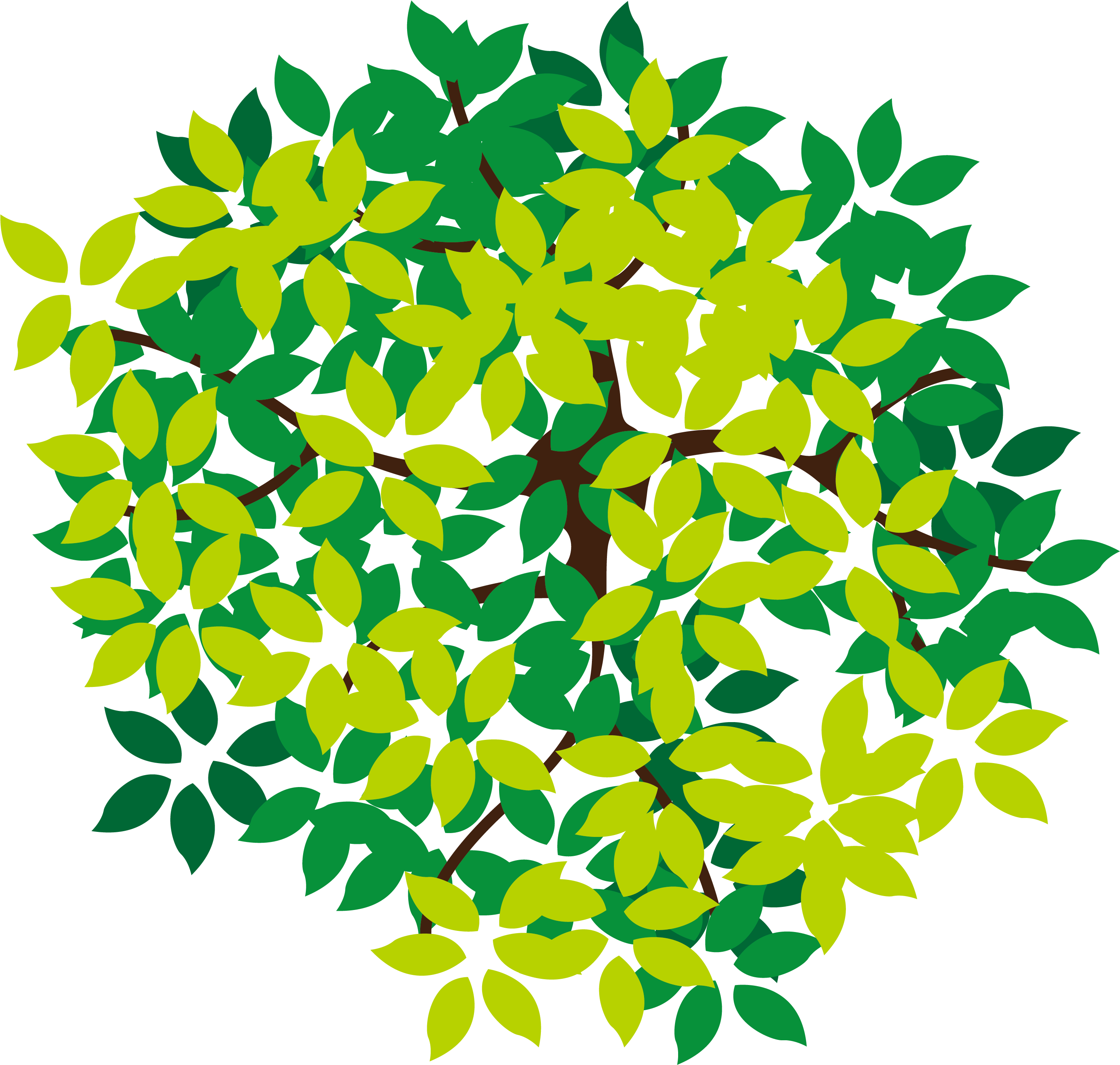 Lush Tree Top - Tree Icon Png From Top (6250x6250)