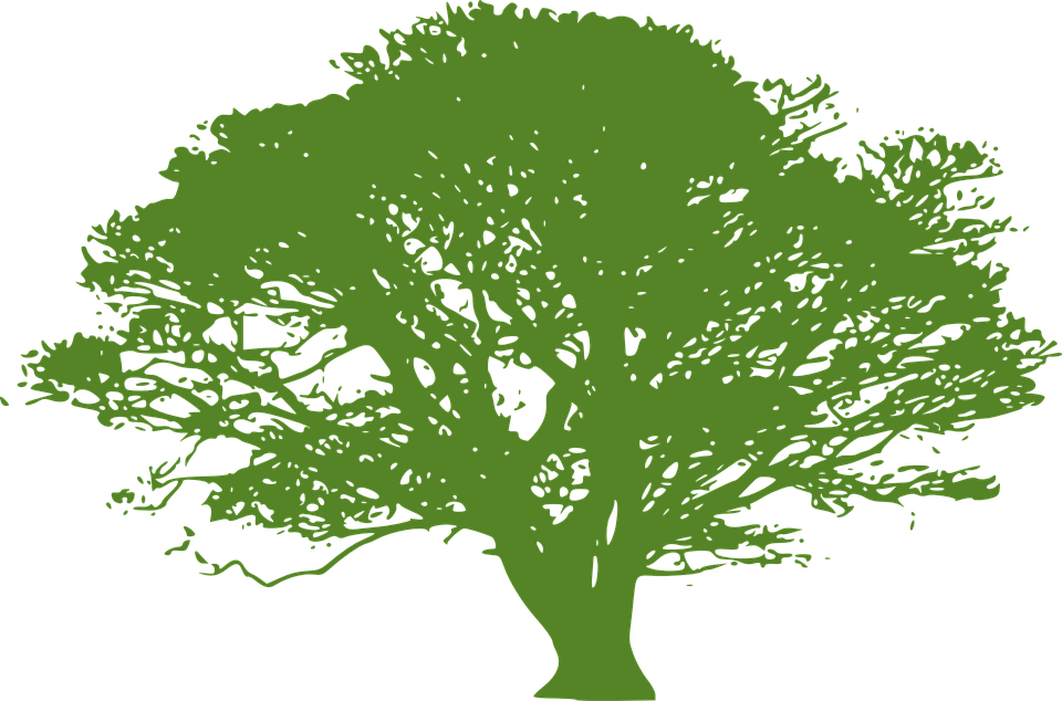 Tree Vector Png 27, Buy Clip Art - Oak Tree Silhouette (960x634)