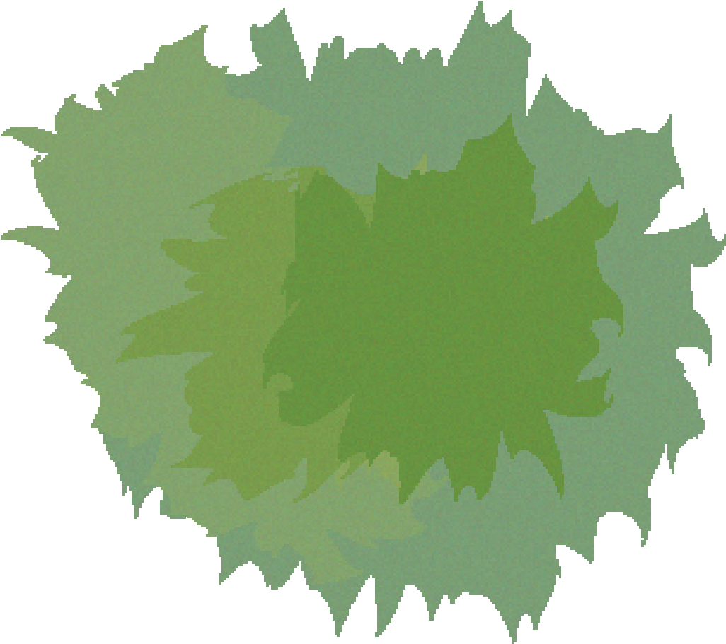 Tree Image - Illustration (2025x1910)