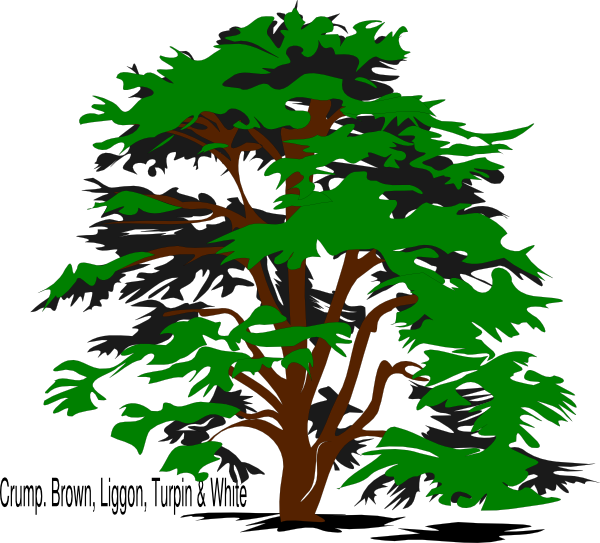 Tree, Family Reunion Png Clip Art - Cedar Tree Clip Art (600x543)