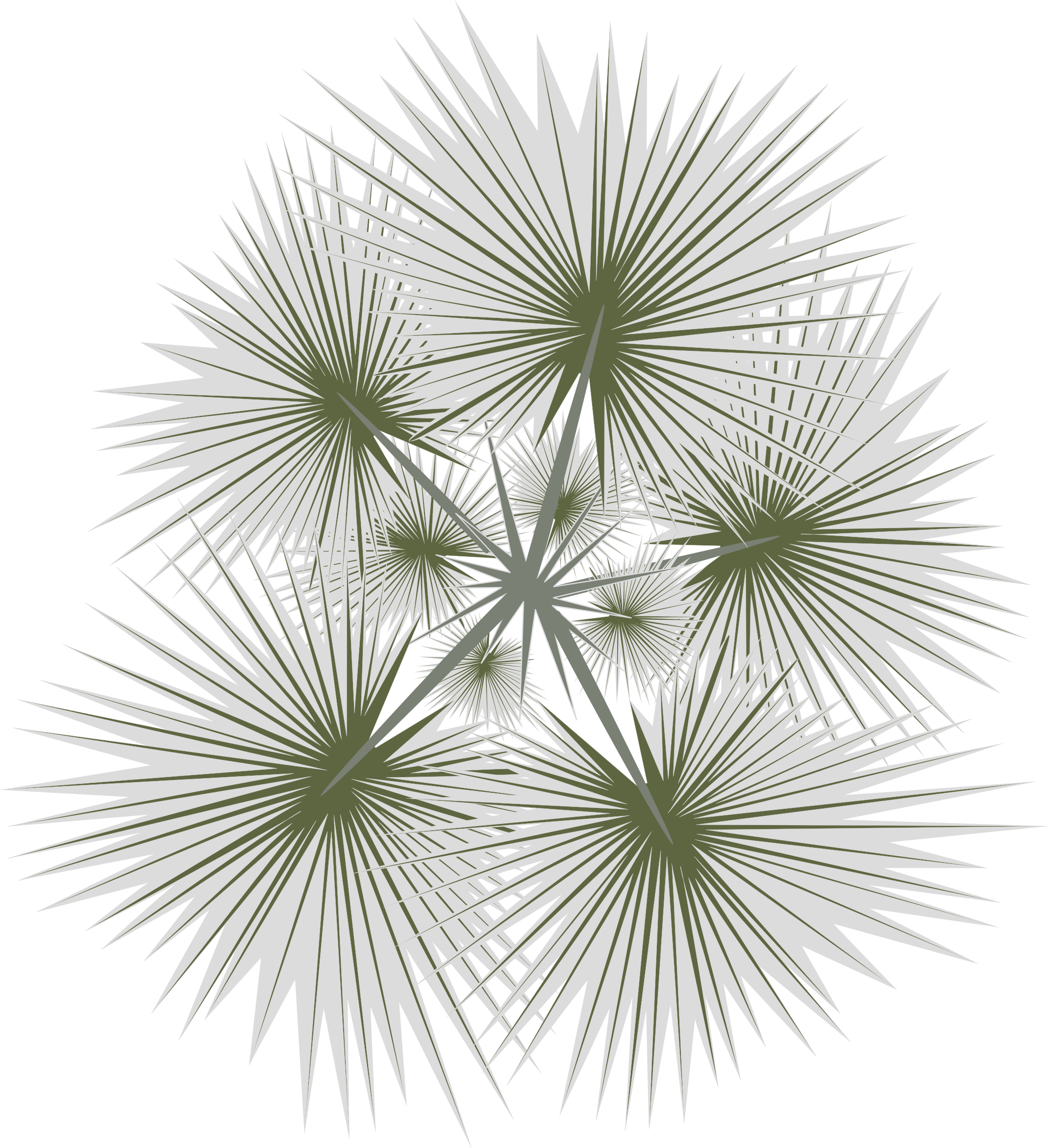 Clipart Palm 01b Tree Top View Png 2400x2400 Png Clipart Download