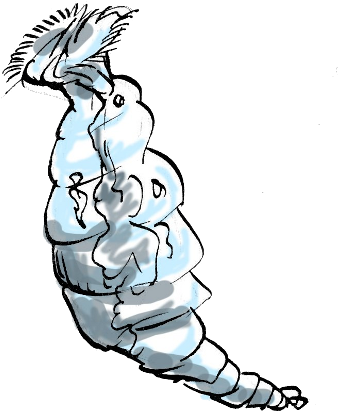 Rotifere - - Illustration (400x433)