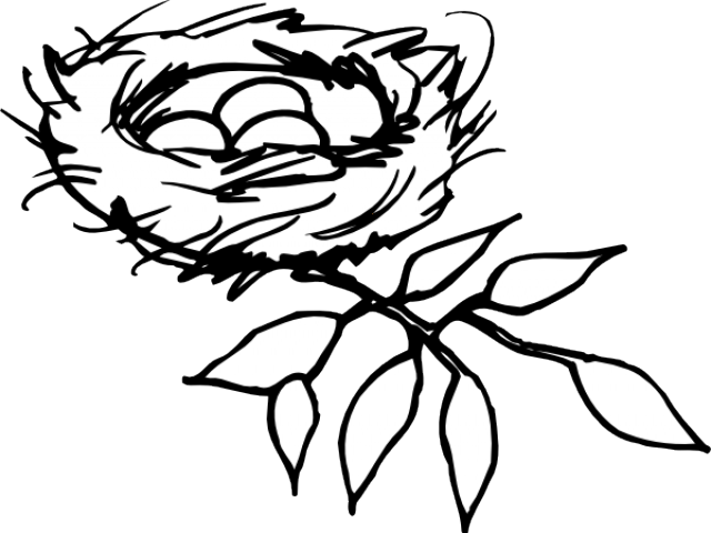 Nest Outline Cliparts - Nest Black And White (640x480)