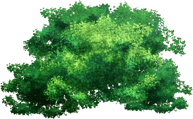 Tree Top Png Pack By Tia-n - Wargame Jungle (740x546)