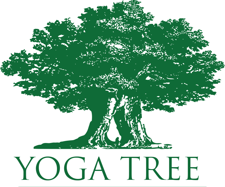 A Parayoga Immersion With Yogarupa Rod Stryker At Yoga - Yoga Tree Sf (782x650)