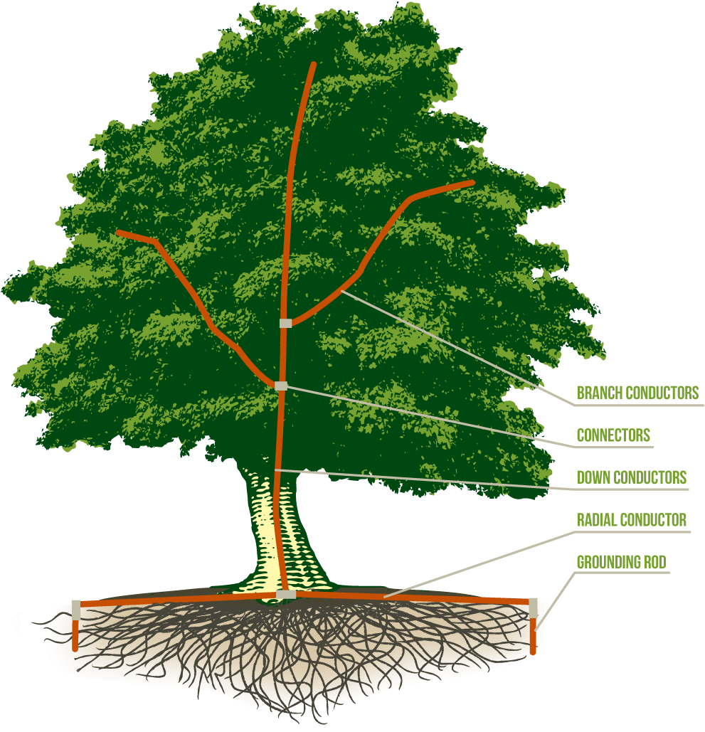 Lightning Protection Systems - Canoe Birch (990x1042)