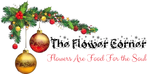 One Would Have To Wonder How This Wheel - Christmas Day (606x322)