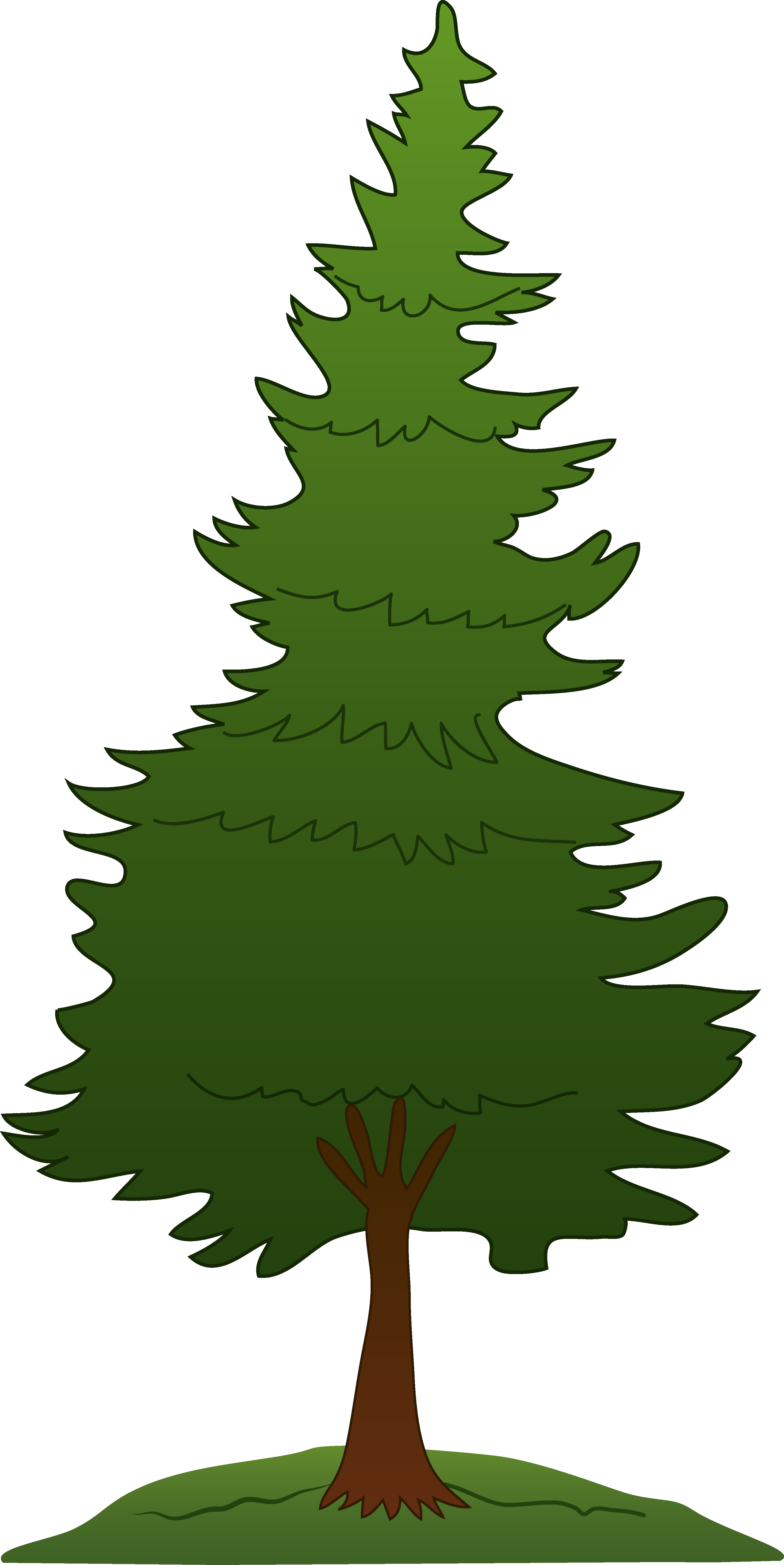 Redwood Tree Clip Art - Clip Art Pine Tree (3256x6498)