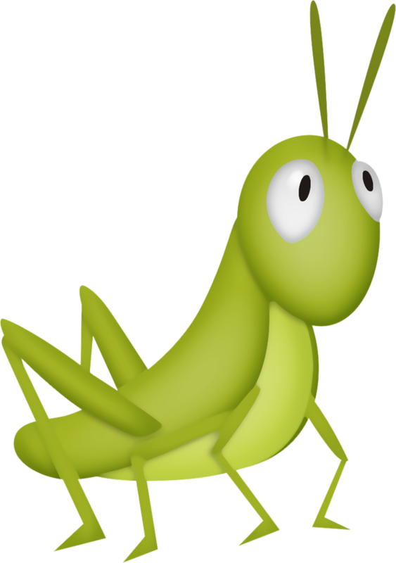 Grasshopper - Crickets Clipart (563x800)