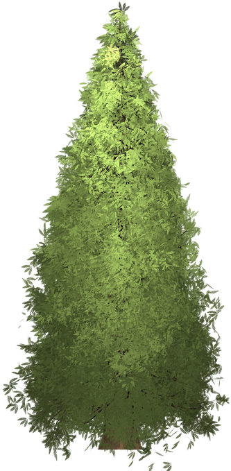 Clipart Redwood Tree - 16 Ft Pre Lit Christmas Tree (720x720)