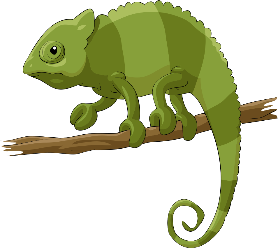 Chameleons Lizard Reptile Cartoon - Chameleon Vector (1000x1000)