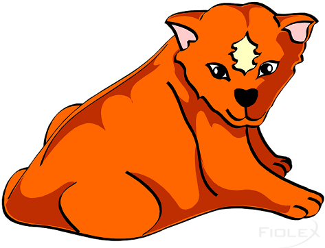 Löwen Junges - Animal (480x378)