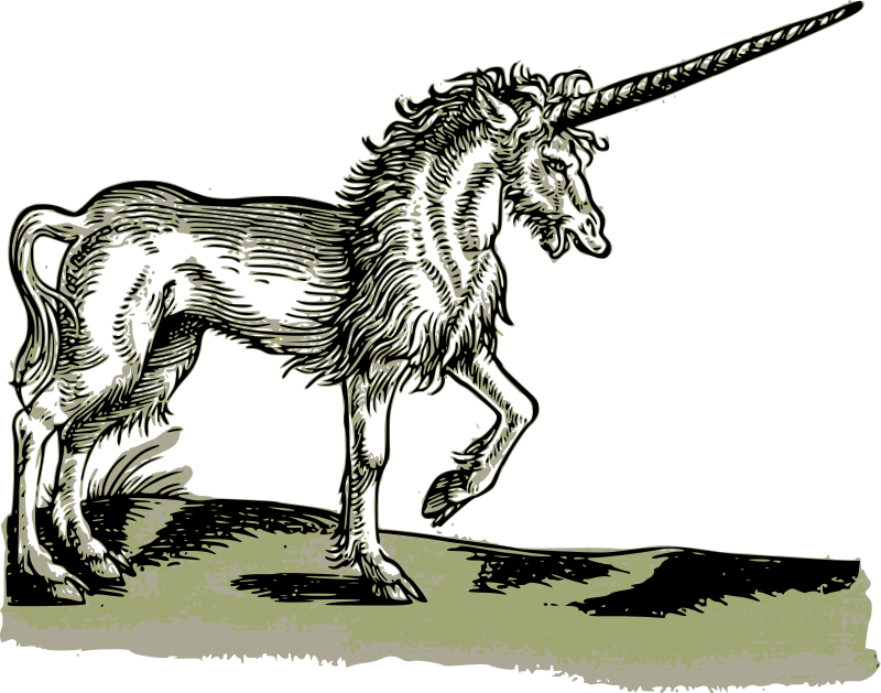 Unicorns In The Bible Verse (800x629)