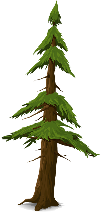 Logo Dengan Pohon Cemara 27, Buy Clip Art - Fir (360x720)