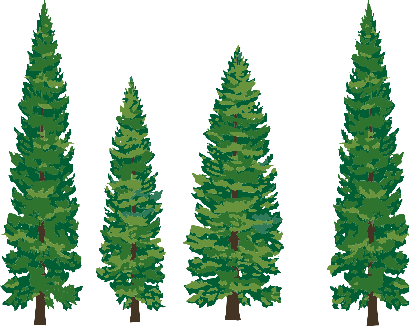Redwood Tree With Face Clipart Png - Transparent Pine Tree Clip Art (1331x1063)