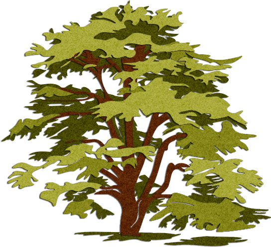 Cedars Tree Hill Learning Center Preschool Fisher's - Hot Chocolate Underpants To The Rescue By Rafael Jacimin (567x507)