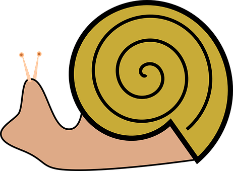 Weinrebe Schnecke, Schnecke - Snails Clipart (462x340)