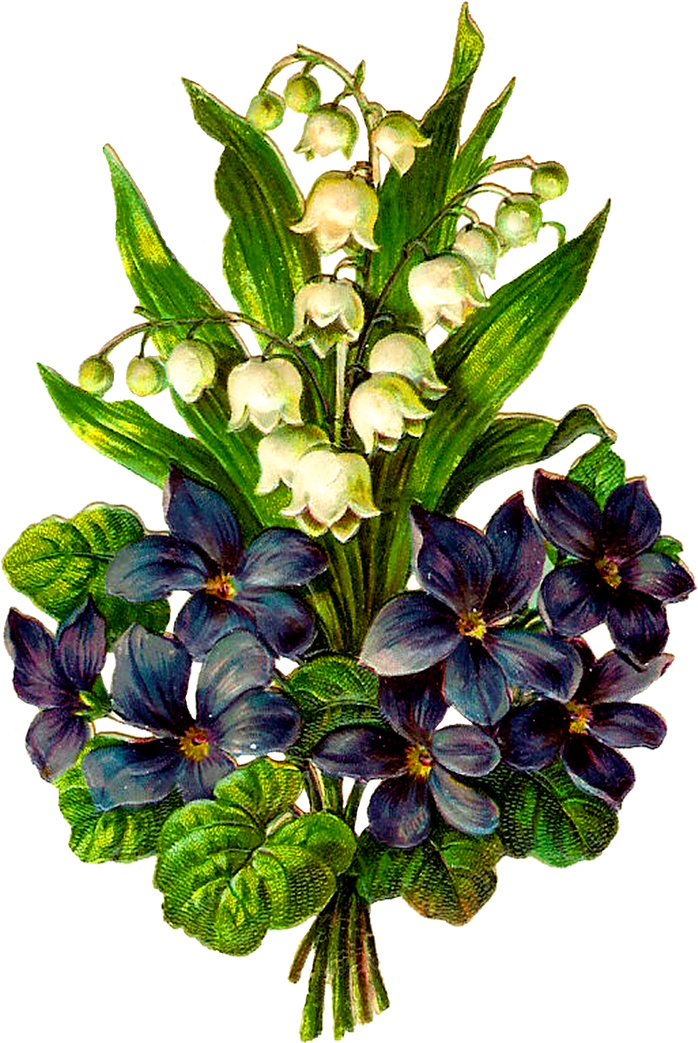 This Printable Flower Clip Art Will Be A Stunning Design - Bouquet (1127x1600)