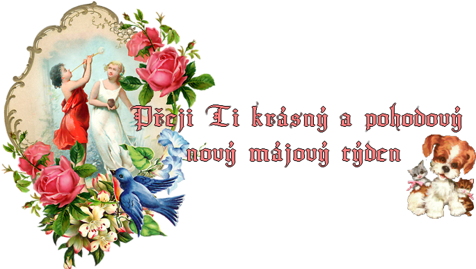 Vintager Französischer Rosen-aufkleber Karte (800x400)