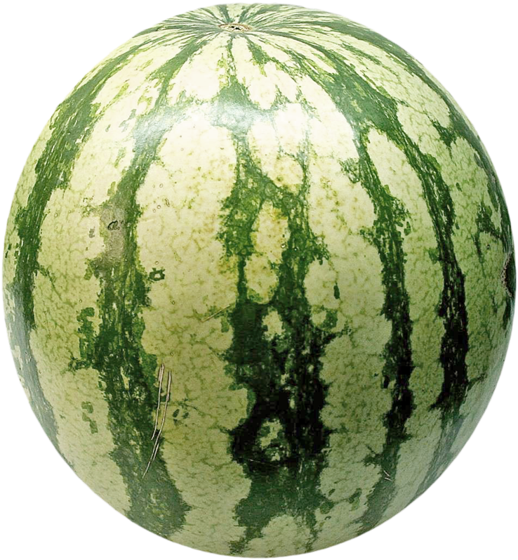 Watermelon Patch, Clip Art, French Country, Watermelon - Car Mount Ec Technology Universal Phone Holder 360 (746x800)