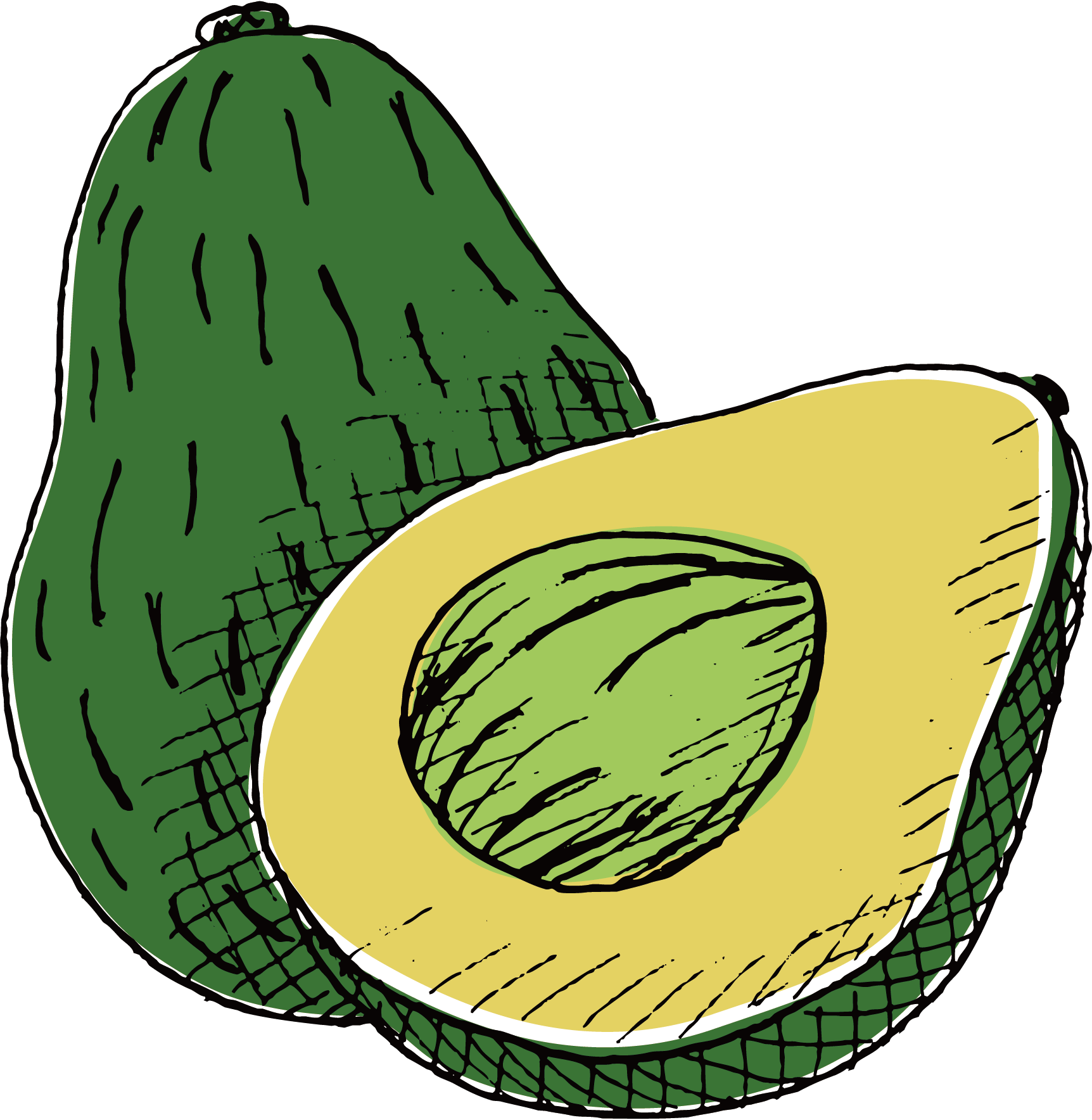 Avocado Drawing - Avocado Drawing Png (1724x1768)