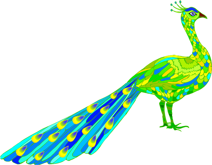 Free Peacock Clipart - Peafowl (750x583)