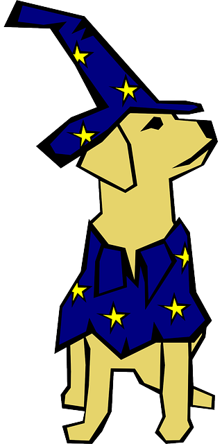 Animal Drawn, Dog, Hat, Straight, Lines, Wizard, Animal - More Pets Dress Up For Halloween Clipart (320x640)