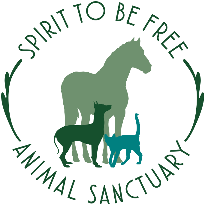 2 Be Free Bonding Company (700x700)