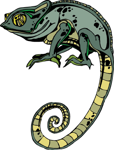 Lizard - Vector Graphics (367x482)
