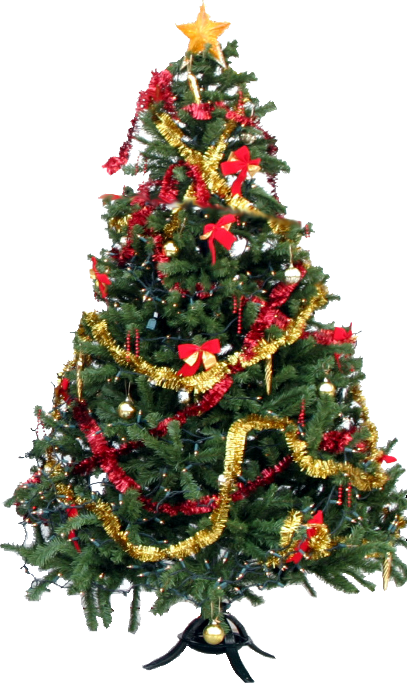 Christmas - Christmas Tree Transparent Gif (806x1350)