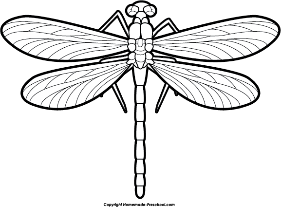 Free Dragonfly Clipart - Dragon Fly Clip Art (577x425)