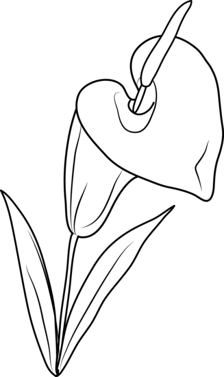 Free Scoreboard Cliparts, Download Free Clip Art, Free - Clip Art Lily Flower (327x550)