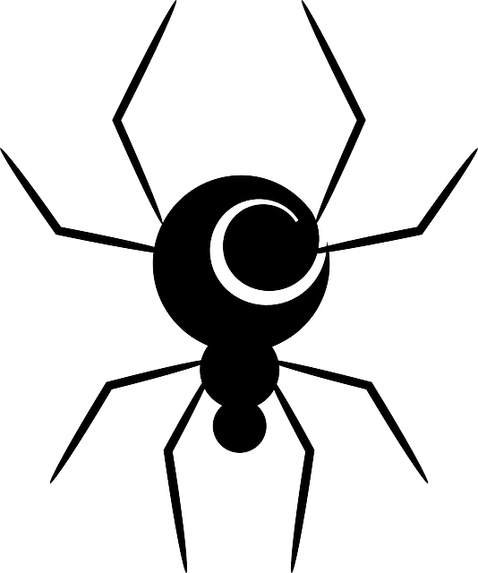 Animal Spider, Spiral, Swirl, Insect, Animal - Spider Vector Png (534x640)