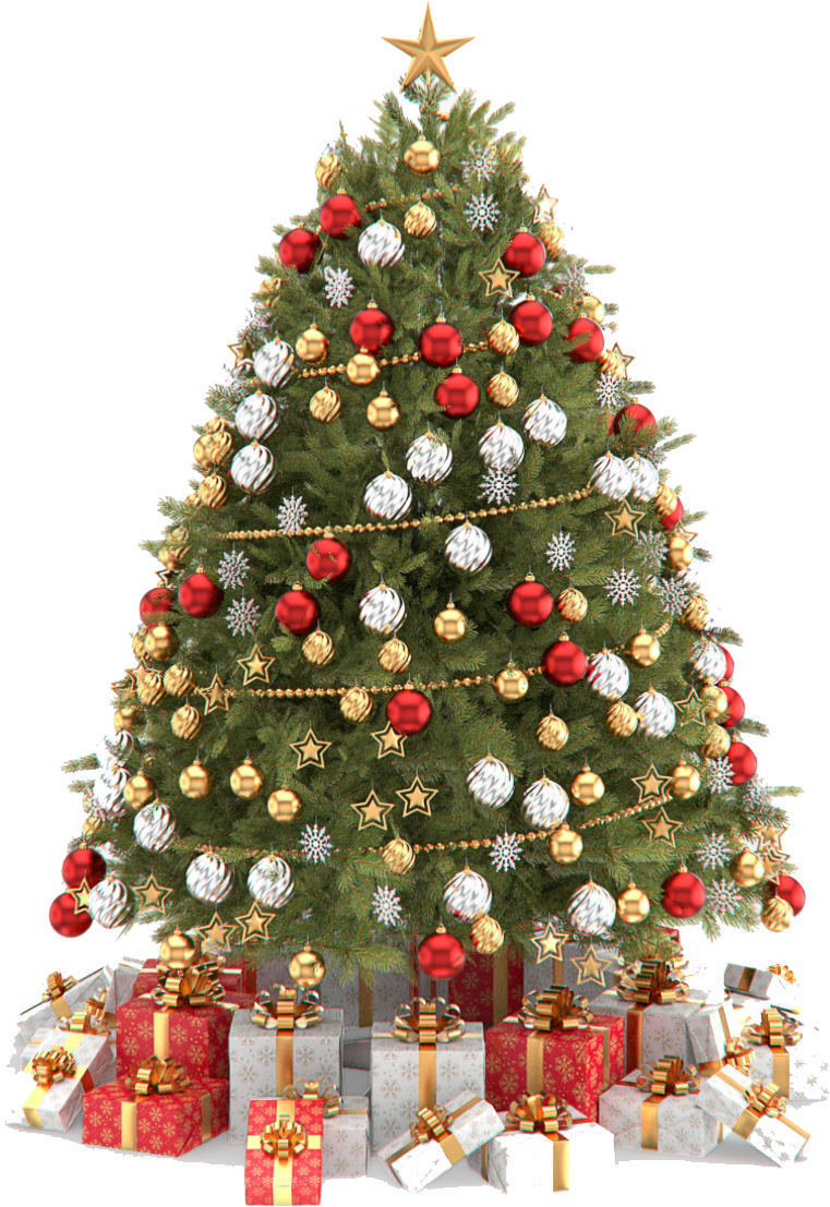 Christmas Tree Png Clipart - Christmas Tree Png Transparent (1200x1200)