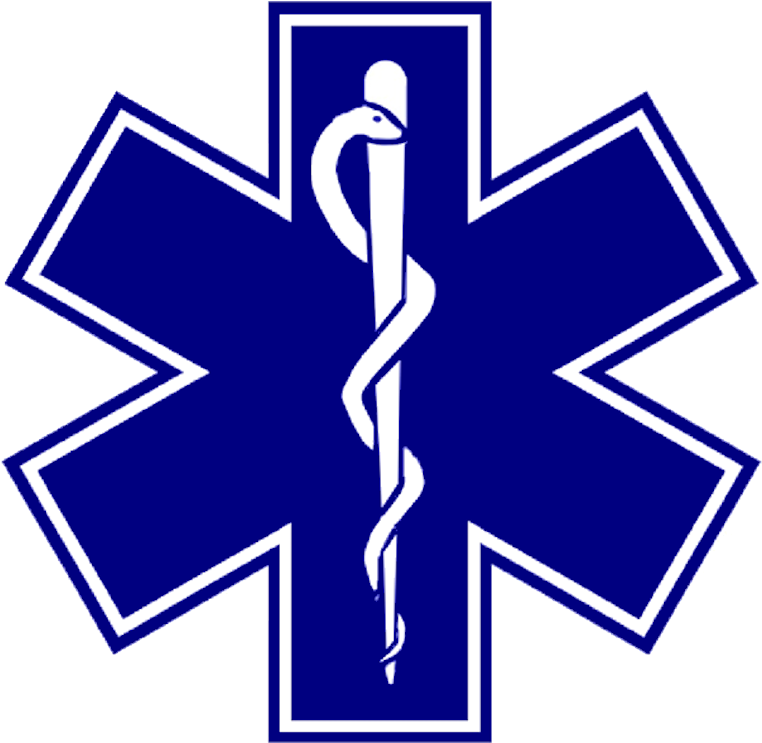 Ems Clip Art - Star Of Life (833x814)