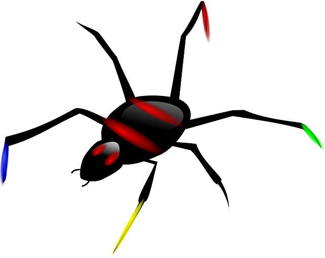 Insect Spider, Bug, Insect - Spider Clipart (640x508)