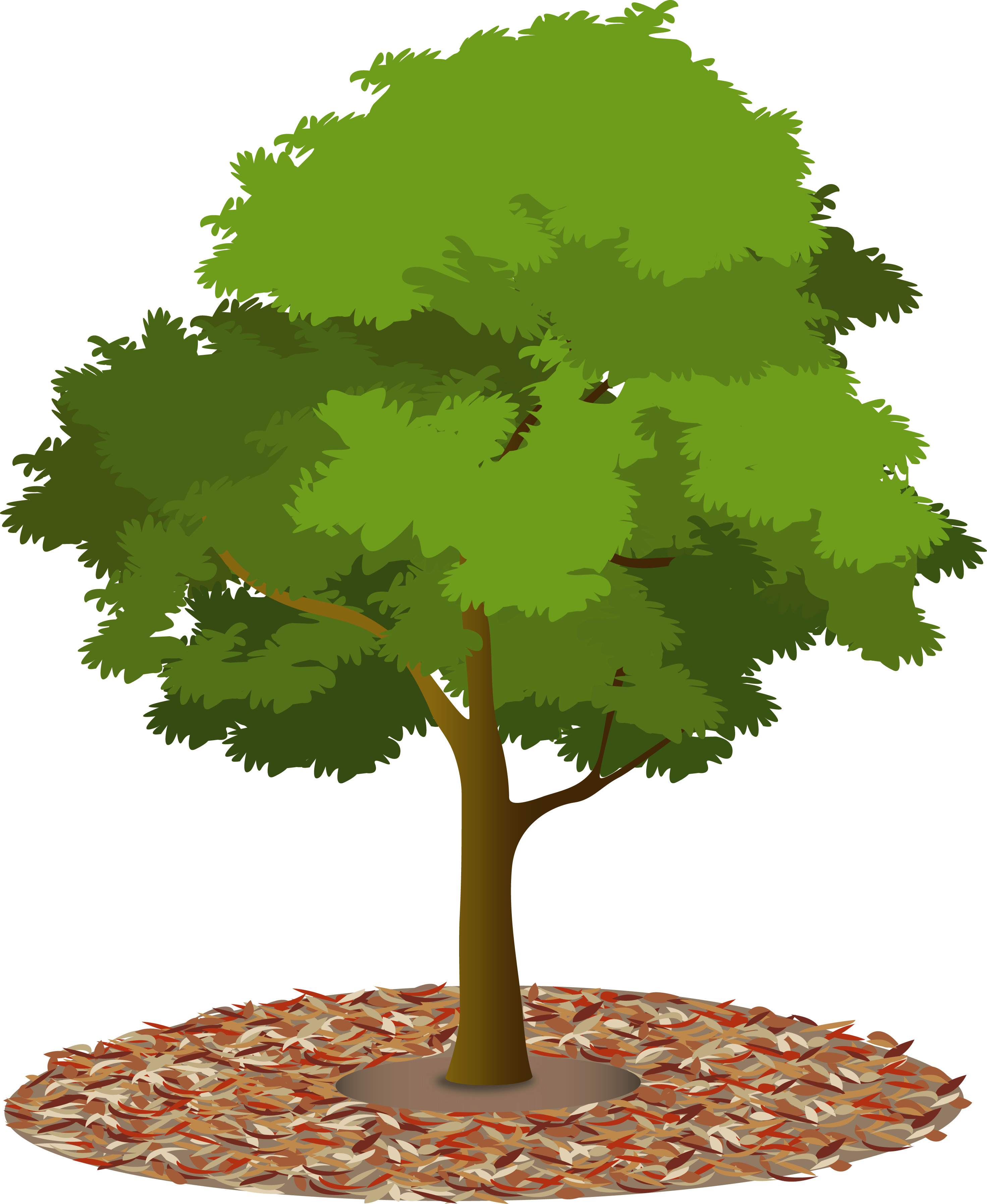 Trees And Water Are Precious Resources - Flat Tree Png (2943x3590)