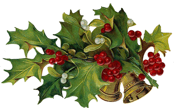 Christmas Tree Clipart Clip Art Christmas Holiday Decor - Christmas Holly 5'x7'area Rug (750x475)